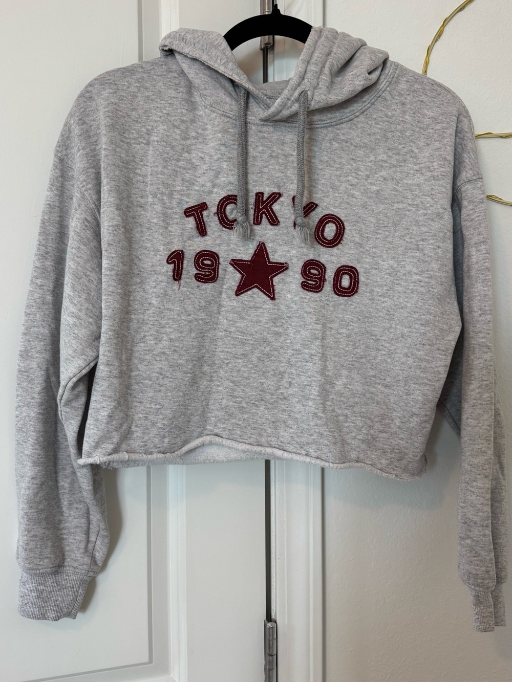 Urban Outfitters cropped embroidered Tokyo hoodie
